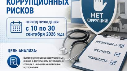 АНОНС